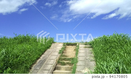 初夏の兆し 94170805