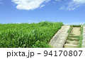 初夏の兆し 94170807