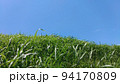真夏の風景 94170809