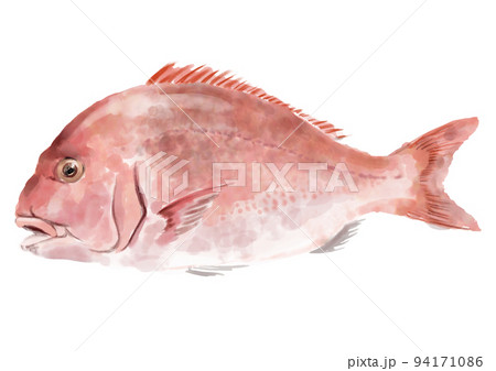 水彩のタイ 94171086