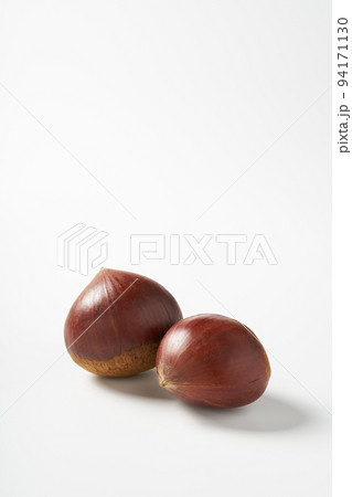 専用他の方発送×28000肉質画　写実画　栗 専用他の方発送×28000肉質画 写実画 栗 専用他の方発送×28000肉質画