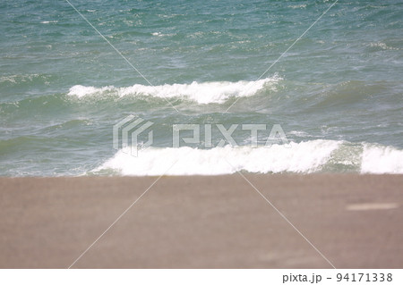 保田海岸を歩く 94171338