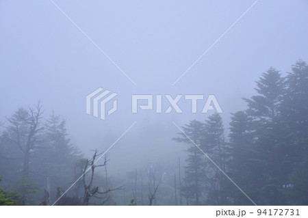 雨上がり霧に包まれる八ヶ岳坪庭の風景 雨上がり霧に包まれる八ヶ岳坪庭の風景 94172731