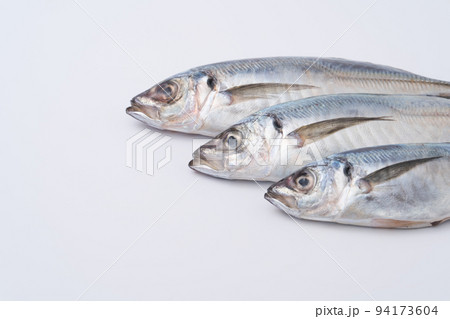 アジ　食材 94173604