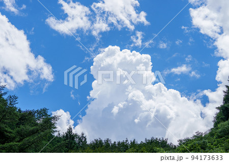 夏雲 94173633