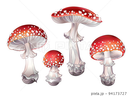 Set of red fly agaric Set of red fly agaric 94173727