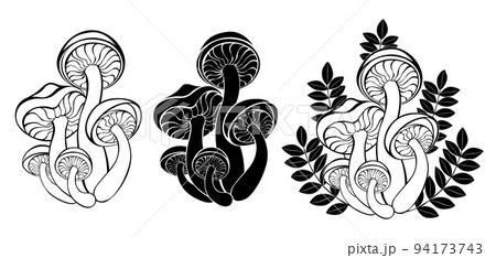 Contour wild mushrooms 94173743