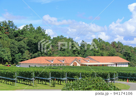 9月の安曇野ワイナリー 9月の安曇野ワイナリー 94174106