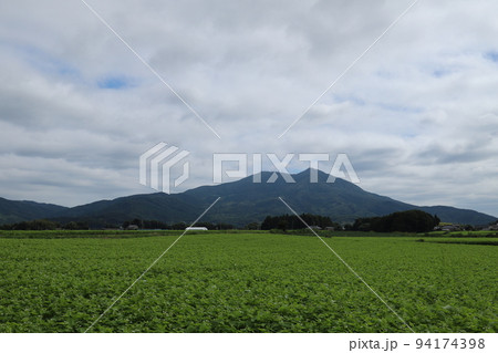 筑波山麓のそば畑 筑波山麓のそば畑 94174398