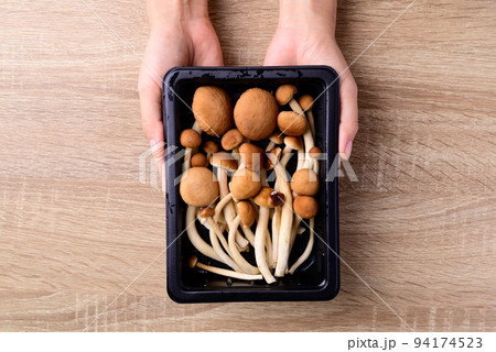 Fresh yanagi matsutake mushroom in package holding by hand on wooden background Fresh yanagi matsutake mushroom in package holding by hand on wooden background 94174523