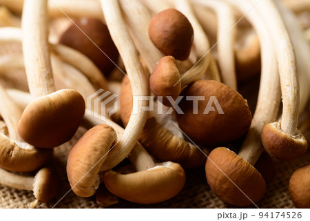 Fresh yanagi matsutake mushroom texture background Fresh yanagi matsutake mushroom texture background 94174526