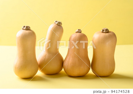 Butternut squash or butternut pumpkin on yellow background Butternut squash or butternut pumpkin on yellow background 94174528