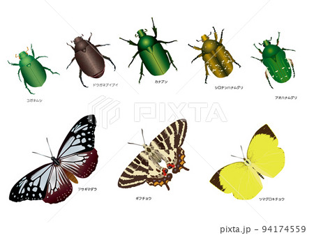 コガネムシ科とチョウ目 94174559