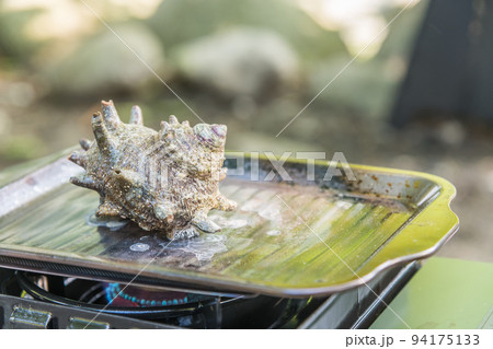【オートキャンプ場でソロキャンプ サザエを焼く】 【オートキャンプ場でソロキャンプ サザエを焼く】 94175133