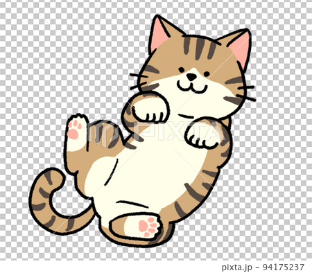 仰向けに寝転がっているキジ白猫のイラスト素材 [94175237] - PIXTA