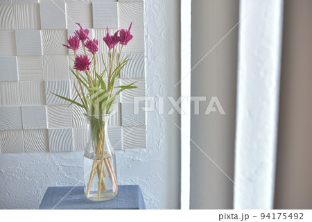 窓辺の花　ケイトウ 94175492