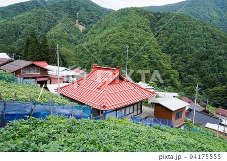 茂倉の里山（早川のマチュピチュ）【山梨県早川町】 94175555