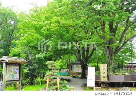 静岡県三島市 三島市立公園楽寿園の駅前入園口と新緑 静岡県三島市 三島市立公園楽寿園の駅前入園口と新緑 94175814