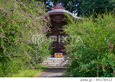 称念寺ーハギ 94176412