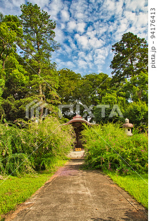 称念寺ーハギ 称念寺ーハギ 94176413