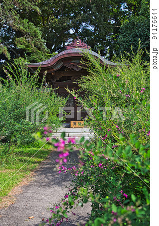 称念寺ーハギ 称念寺ーハギ 94176644