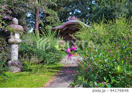 称念寺ーハギ 94176646