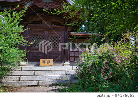 称念寺ーハギ 称念寺ーハギ 94176665
