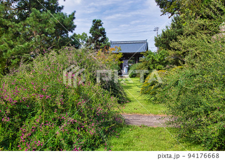 称念寺ーハギ 称念寺ーハギ 94176668