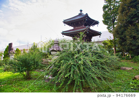 称念寺ーハギ 称念寺ーハギ 94176669