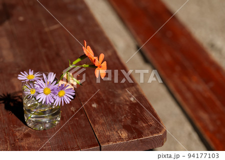 チョウセンシオンとフシグロセンノウの生け花 チョウセンシオンとフシグロセンノウの生け花 94177103