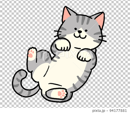 仰向けに寝転がっているサバ白猫のイラスト素材 [94177881] - PIXTA