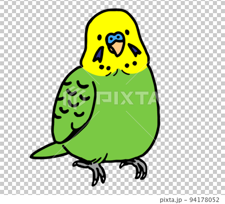 Male budgerigars (simple) 94178052