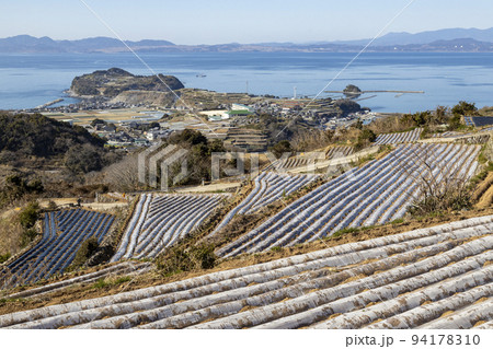 南串山町の棚畑【長崎県雲仙市南串山町】 94178310
