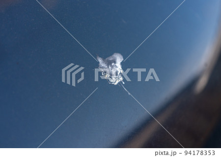 車に鳥のふん 車に鳥のふん 94178353