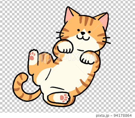 Brown tiger white cat lying on its back Brown tiger white cat lying on its back 94178864