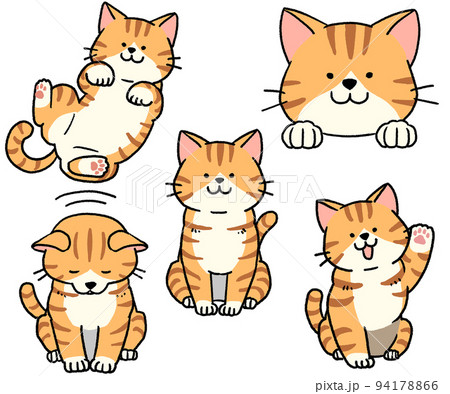 茶トラ白猫のセット 茶トラ白猫のセット 94178866