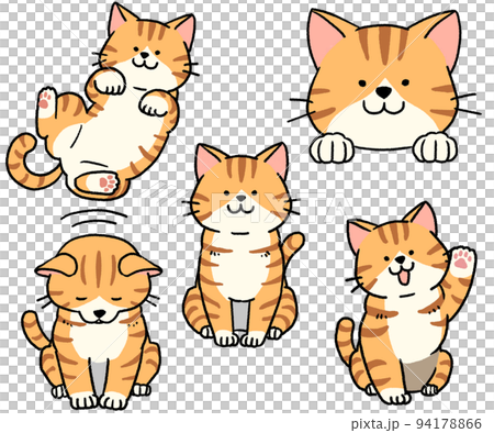 茶トラ白猫のセット 茶トラ白猫のセット 94178866