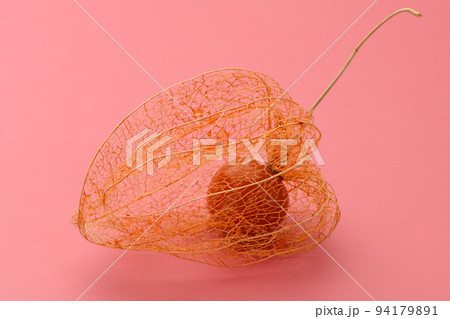 鬼灯 鬼灯 94179891