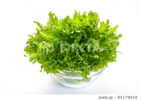 フリルレタス 94179910