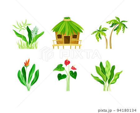 Tropical Landscape Element with Hut, Green Exotic Foliage and Flower Vector Set Tropical Landscape Element with Hut, Green Exotic Foliage and Flower Vector Set 94180134
