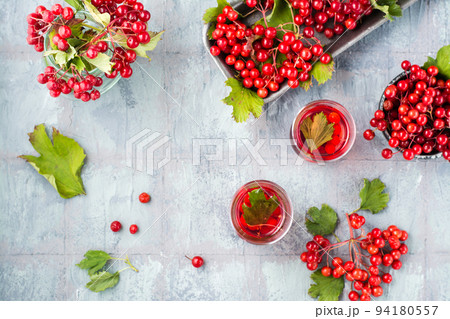 A decoction of ripe viburnum berries in transparent glasses and viburnum berries in bowls next to the table. Alternative medicine, vitamin nutrition and wellness. Top view. Copy space A decoction of ripe viburnum berries in transparent glasses and viburnum berries in bowls next to the table. Alternative medicine, vitamin nutrition and wellness. Top view. Copy space 94180557