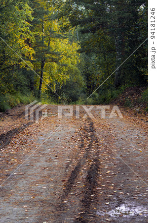 Forest autumn landscape. Road with fallen leaves. A puddle from the rain on the road and traces of the car. The beauty of the nature of Eastern Siberia. Background and wallpaper. Vertical photo. Forest autumn landscape. Road with fallen leaves. A puddle from the rain on the road and traces of the car. The beauty of the nature of Eastern Siberia. Background and wallpaper. Vertical photo. 94181246