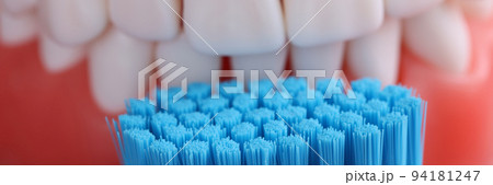 Dental jaw and toothbrush and oral care 94181247
