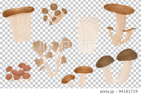 秋の味覚、キノコのシンプルなイラスト　松茸、舞茸、椎茸他のセット 94181719