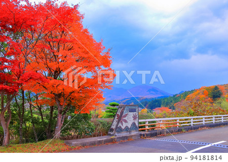鮮やかな紅葉 94181814