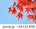 快晴の青空と紅葉の木の葉 94181896
