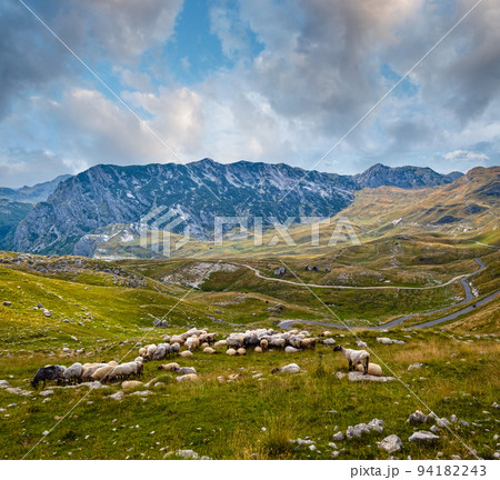 Summer mountain Durmitor National Park, Montenegro. Durmitor panoramic road, Sedlo pass. Summer mountain Durmitor National Park, Montenegro. Durmitor panoramic road, Sedlo pass. 94182243