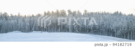 Landscape snowy winter forest. Panoramic view Landscape snowy winter forest. Panoramic view 94182719