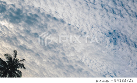 BANNER Atmosphere panorama white cloud sky alone tropical palm background summer tenderness freedom BANNER Atmosphere panorama white cloud sky alone tropical palm background summer tenderness freedom 94183725