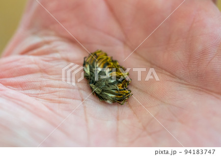 various various 94183747